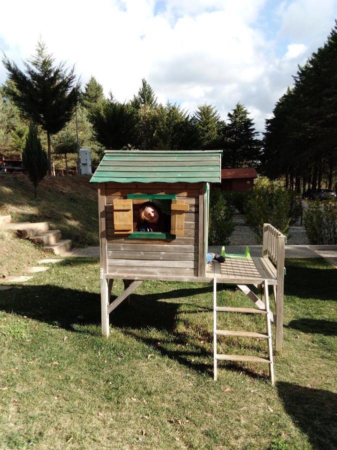 O Palheirinho - - Braganca Landhaus *